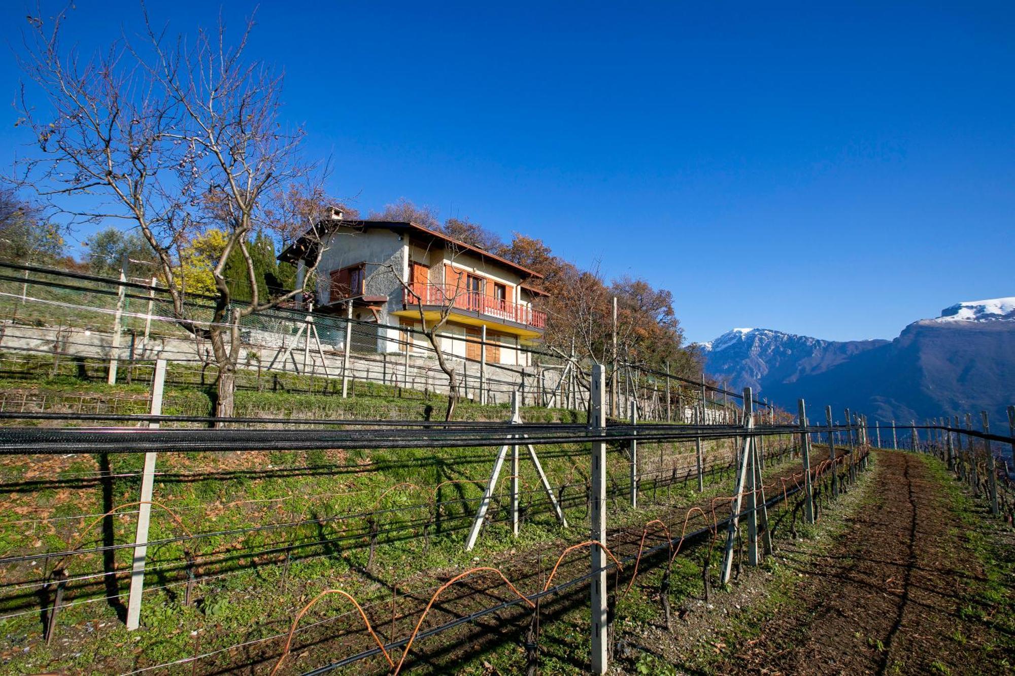 Balcone Panoramico Sul Garda - Happy Rentals Tremosine Buitenkant foto